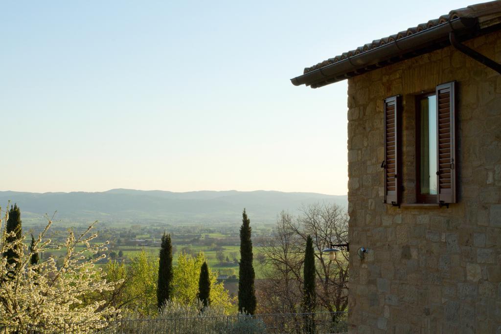 Villa Degli Ulivi Assisi Exterior foto